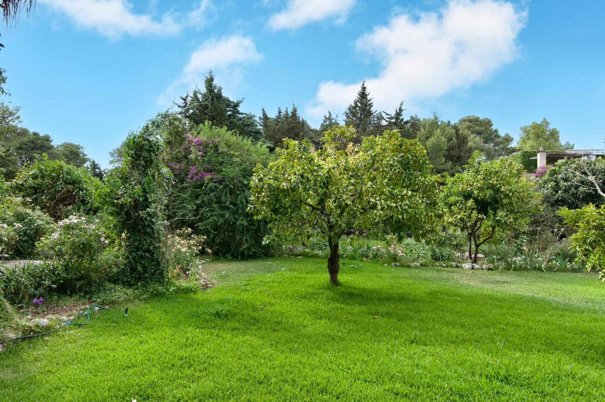 فيلا Tenuta Chimeta - Peace Retreat Castrignano de' Greci المظهر الخارجي الصورة