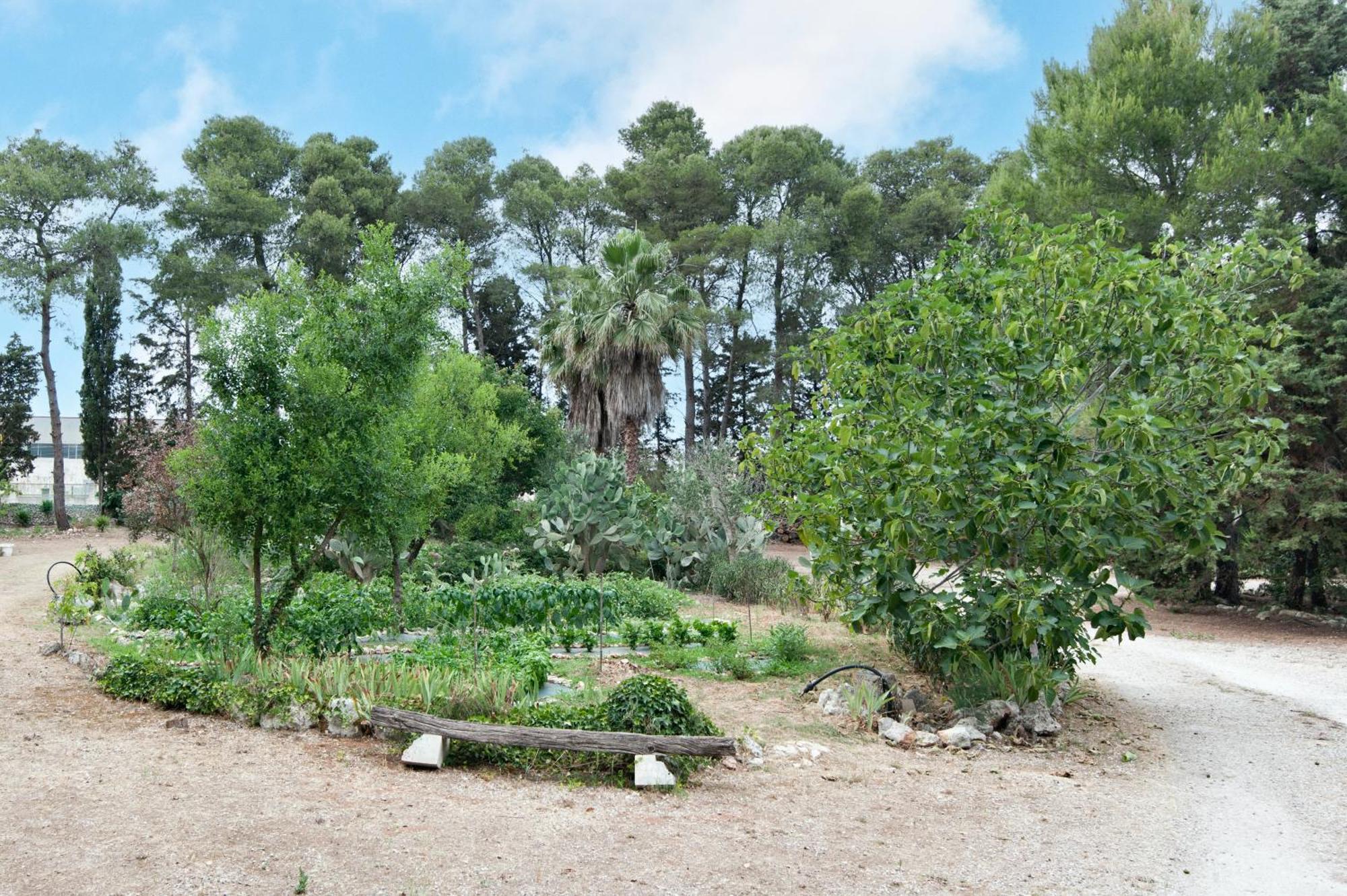 فيلا Tenuta Chimeta - Peace Retreat Castrignano de' Greci المظهر الخارجي الصورة